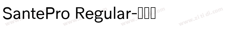 SantePro Regular字体转换
